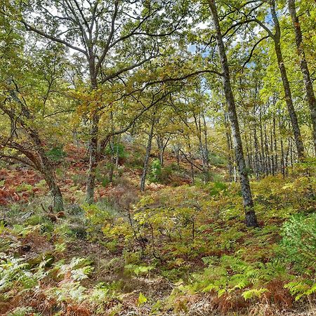 Apartamentos Rurales Entre Fuentes Cuacos De Yuste Exteriör bild