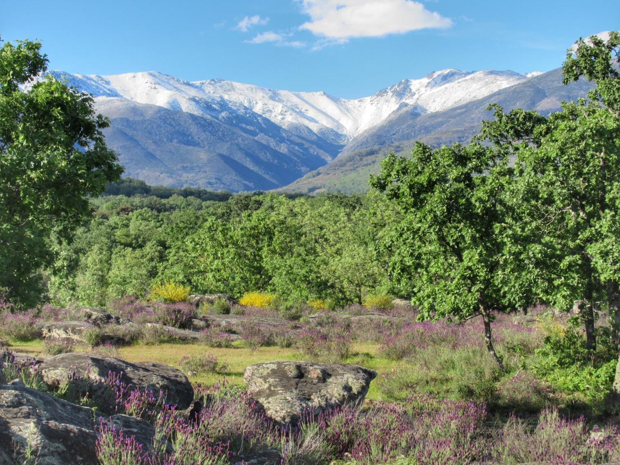 Apartamentos Rurales Entre Fuentes Cuacos De Yuste Exteriör bild