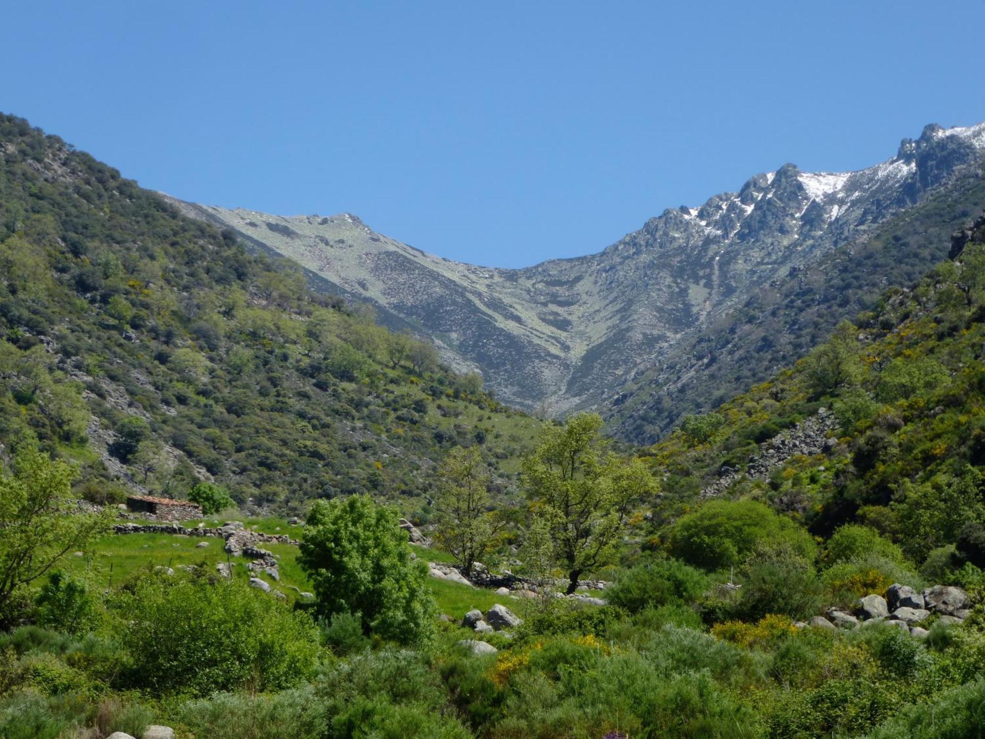 Apartamentos Rurales Entre Fuentes Cuacos De Yuste Exteriör bild