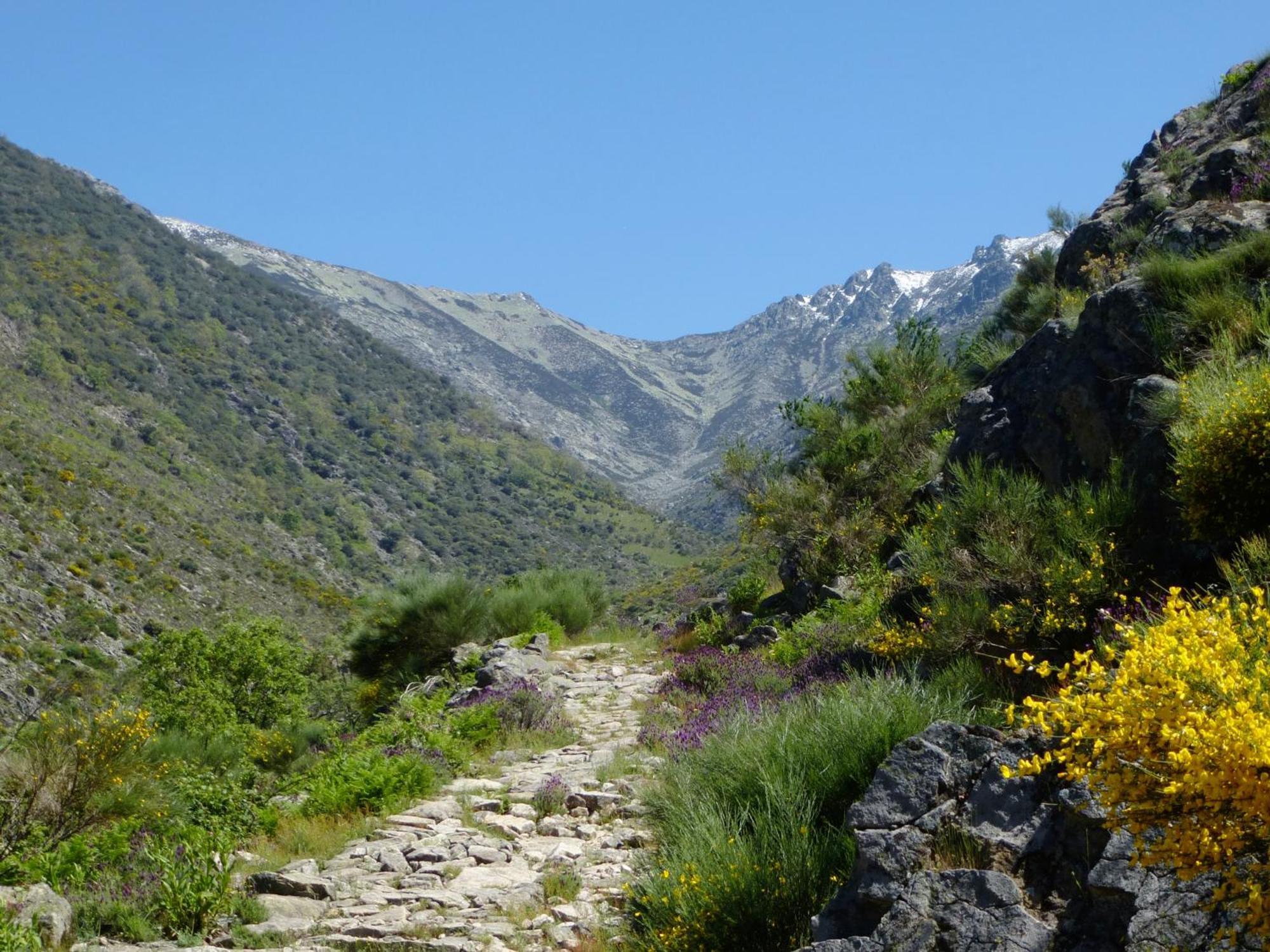 Apartamentos Rurales Entre Fuentes Cuacos De Yuste Exteriör bild