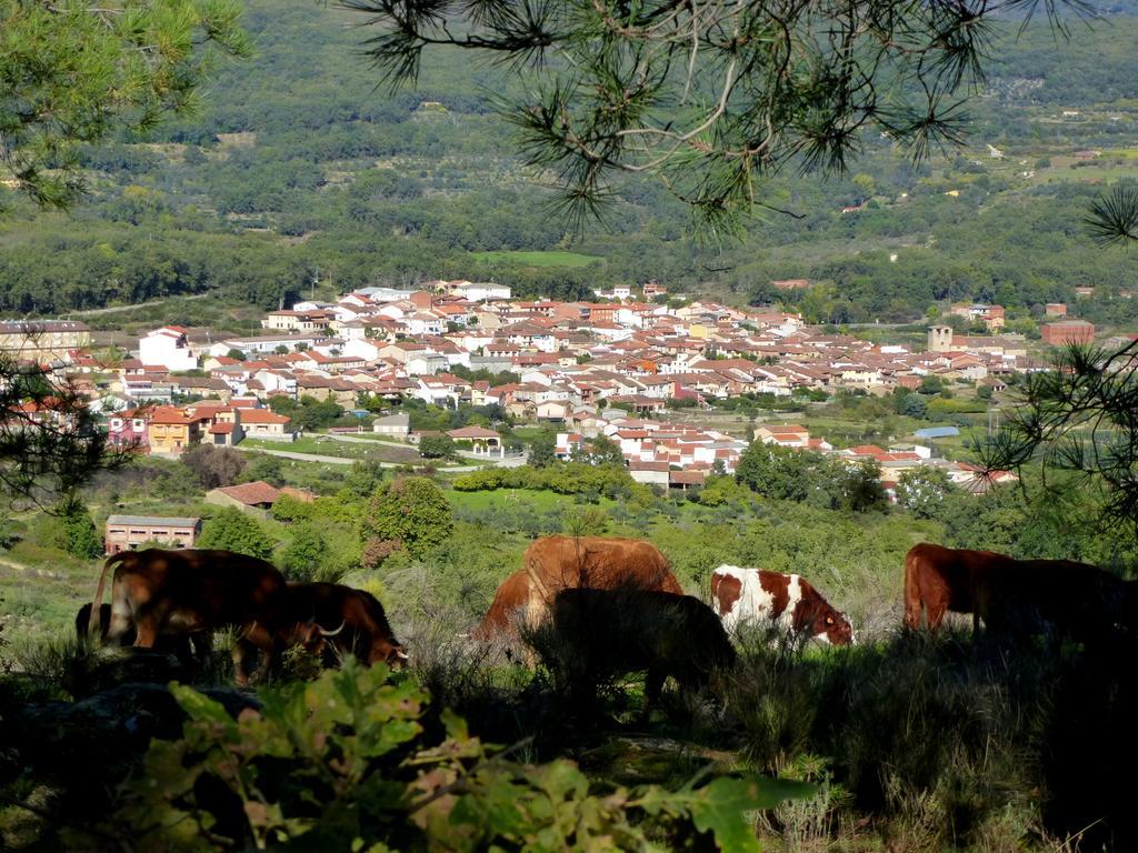 Apartamentos Rurales Entre Fuentes Cuacos De Yuste Exteriör bild